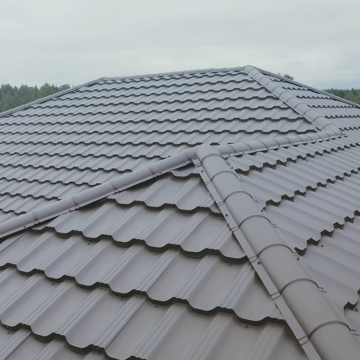 Image of a metal roof.