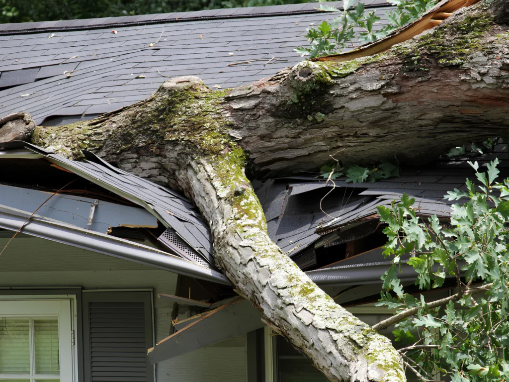 Image showing a completely damaged roof that needs replacement after a storm.